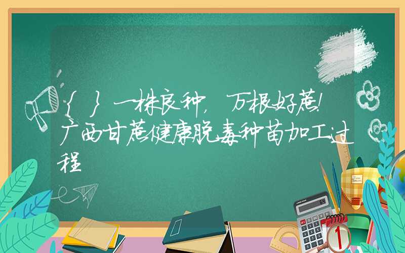 {}一株良种，万根好蔗！广西甘蔗健康脱毒种苗加工过程