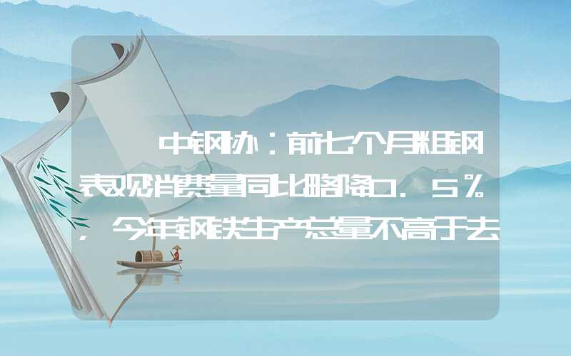 {}中钢协：前七个月粗钢表观消费量同比略降0.5%，今年钢铁生产总量不高于去年水平是合理的选择