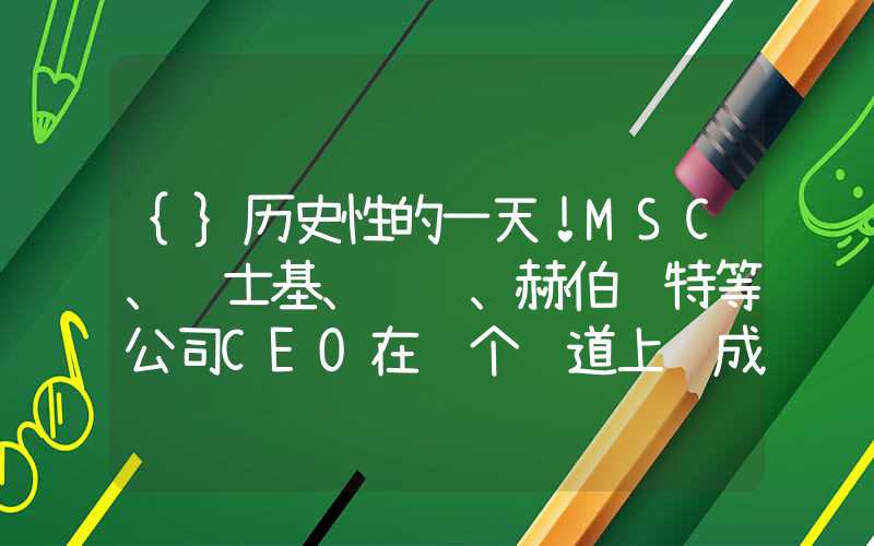 {}历史性的一天！MSC、马士基、达飞、赫伯罗特等公司CEO在这个赛道上达成一致！｜航运界