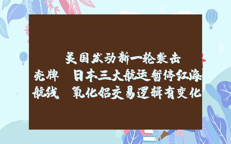 {}美国发动新一轮袭击！壳牌、日本三大航运暂停红海航线！氧化铝交易逻辑有变化