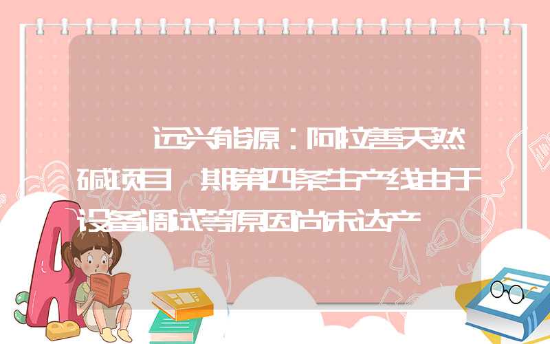 {}远兴能源：阿拉善天然碱项目一期第四条生产线由于设备调试等原因尚未达产