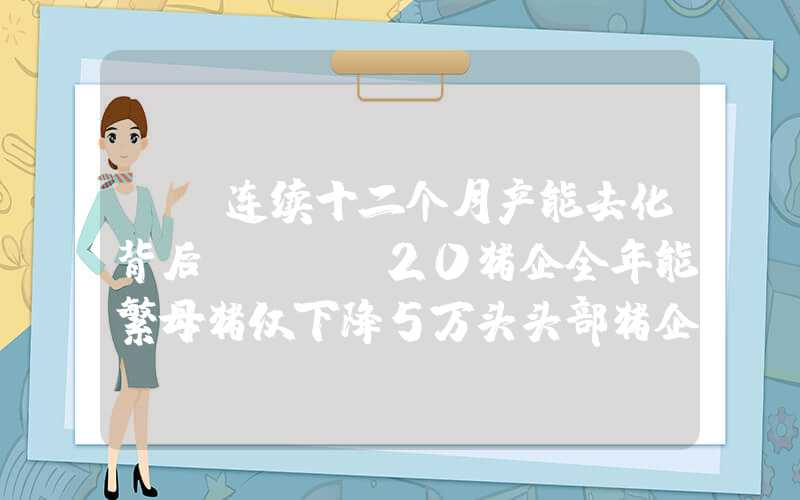 {}连续十二个月产能去化背后：TOP20猪企全年能繁母猪仅下降5万头头部猪企数据甚至不降反升