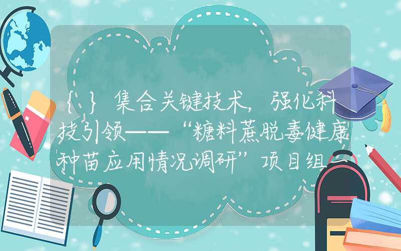 {}集合关键技术，强化科技引领——“糖料蔗脱毒健康种苗应用情况调研”项目组一行到沐甜科技云南鲲鹏公司调研座谈