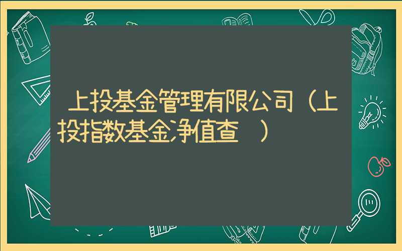 上投基金管理有限公司（上投指数基金净值查询）