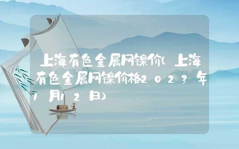 上海有色金属网镍价（上海有色金属网镍价格2023年1月12日）