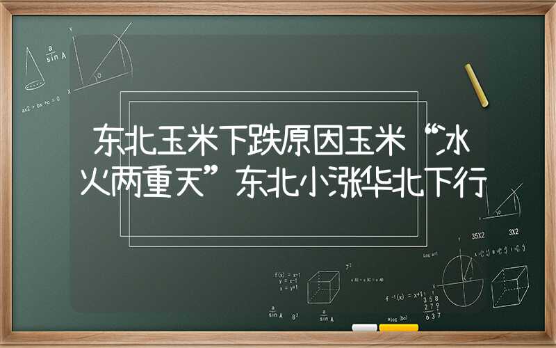 东北玉米下跌原因玉米“冰火两重天”东北小涨华北下行