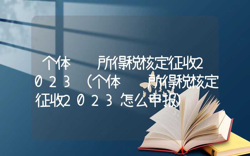 个体经营所得税核定征收2023（个体经营所得税核定征收2023怎么申报）