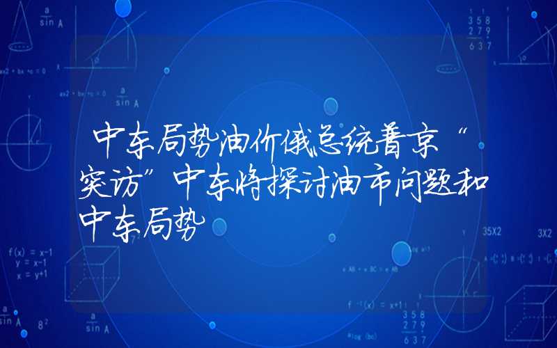 中东局势油价俄总统普京“突访”中东将探讨油市问题和中东局势