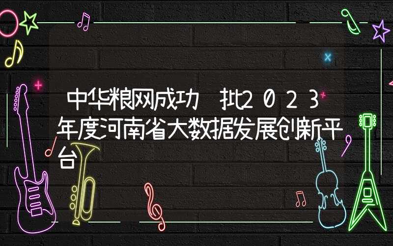 中华粮网成功获批2023年度河南省大数据发展创新平台