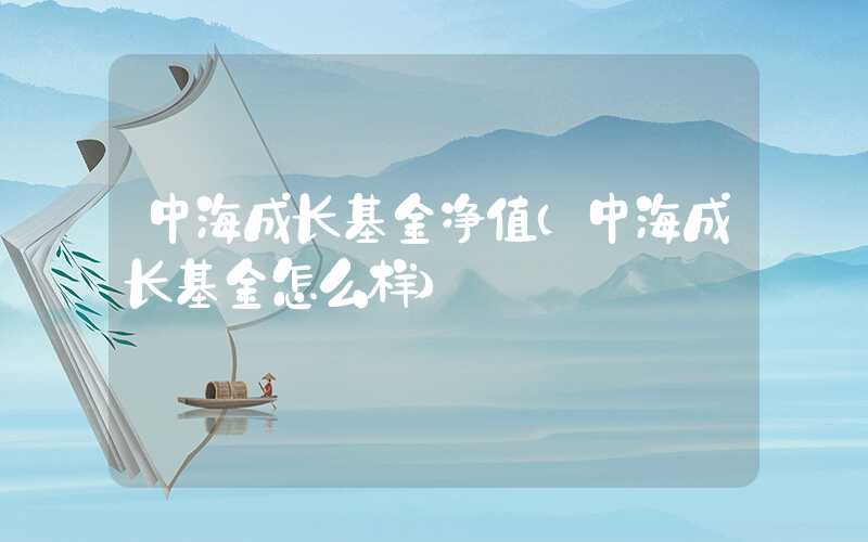 中海成长基金净值（中海成长基金怎么样）