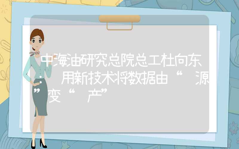 中海油研究总院总工杜向东：运用新技术将数据由“资源”变“资产”