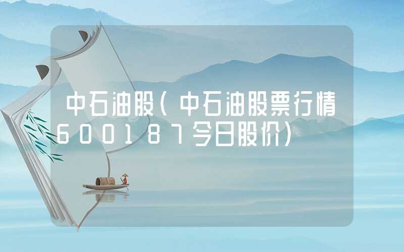 中石油股（中石油股票行情600187今日股价）