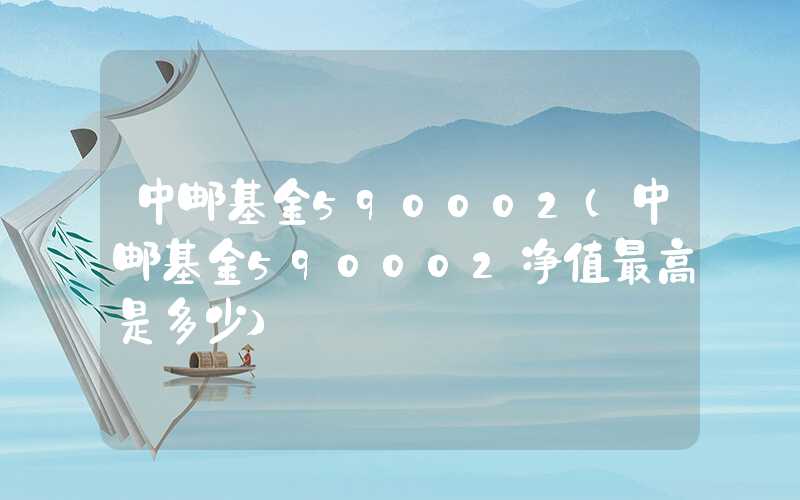 中邮基金590002（中邮基金590002净值最高是多少）