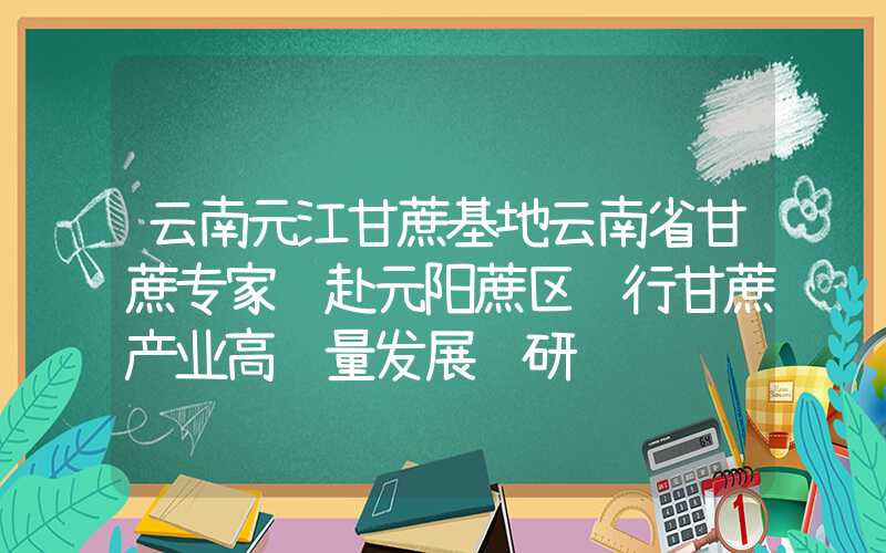 云南元江甘蔗基地云南省甘蔗专家组赴元阳蔗区进行甘蔗产业高质量发展调研