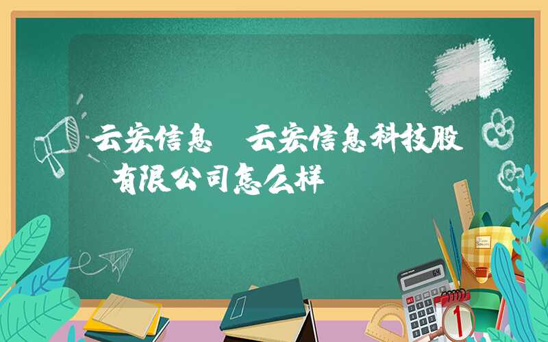 云宏信息（云宏信息科技股份有限公司怎么样）