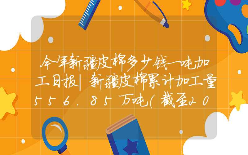 今年新疆皮棉多少钱一吨加工日报|新疆皮棉累计加工量556.85万吨(截至2024.3.20)