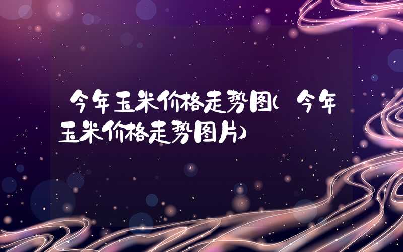 今年玉米价格走势图（今年玉米价格走势图片）