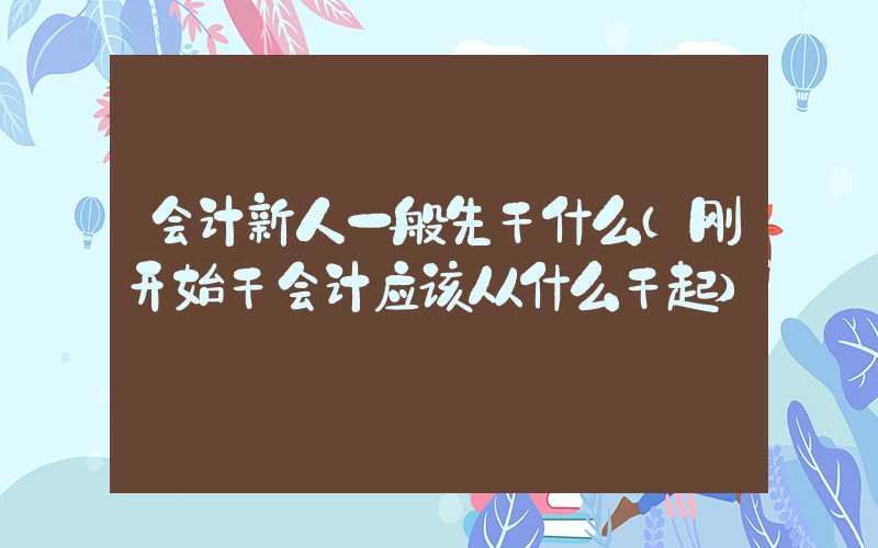 会计新人一般先干什么（刚开始干会计应该从什么干起）