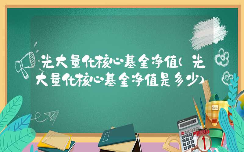 光大量化核心基金净值（光大量化核心基金净值是多少）