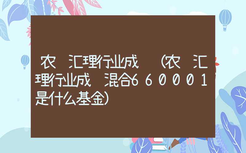 农银汇理行业成长（农银汇理行业成长混合660001是什么基金）