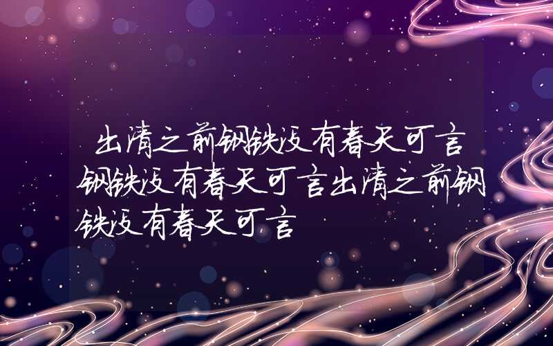 出清之前钢铁没有春天可言钢铁没有春天可言出清之前钢铁没有春天可言