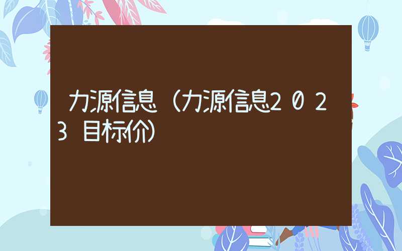 力源信息（力源信息2023目标价）