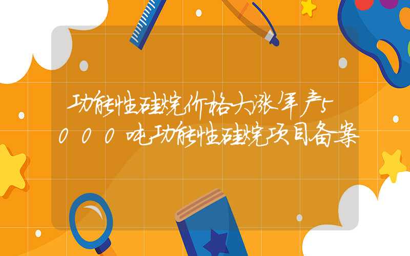 功能性硅烷价格大涨年产5000吨功能性硅烷项目备案