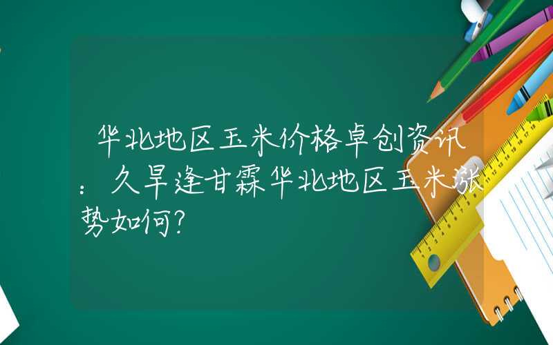 华北地区玉米价格卓创资讯：久旱逢甘霖华北地区玉米涨势如何？