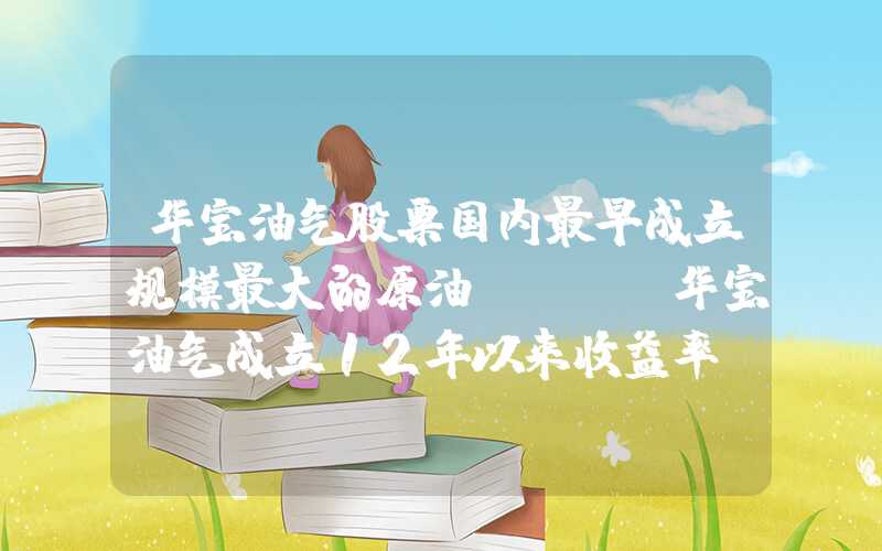 华宝油气股票国内最早成立规模最大的原油QDII华宝油气成立12年以来收益率-28%