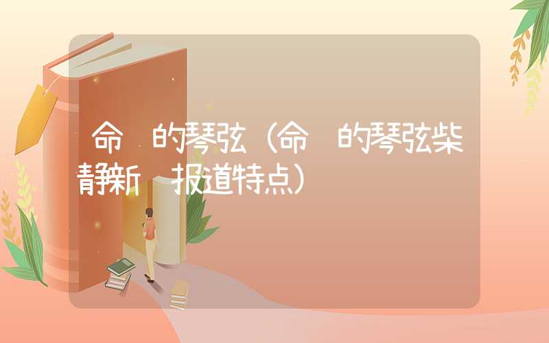 命运的琴弦（命运的琴弦柴静新闻报道特点）