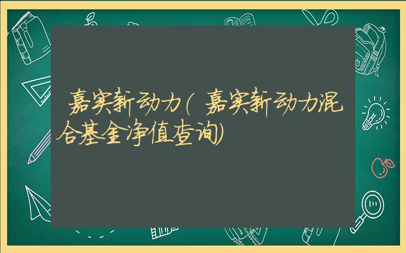 嘉实新动力（嘉实新动力混合基金净值查询）