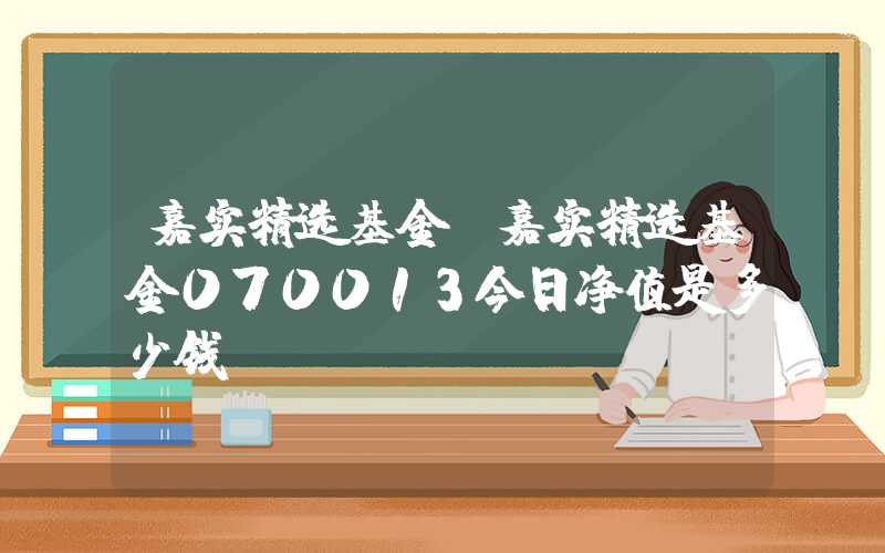 嘉实精选基金（嘉实精选基金070013今日净值是多少钱）