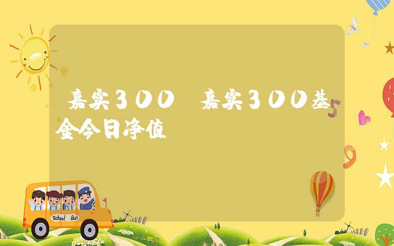 嘉实300（嘉实300基金今日净值）