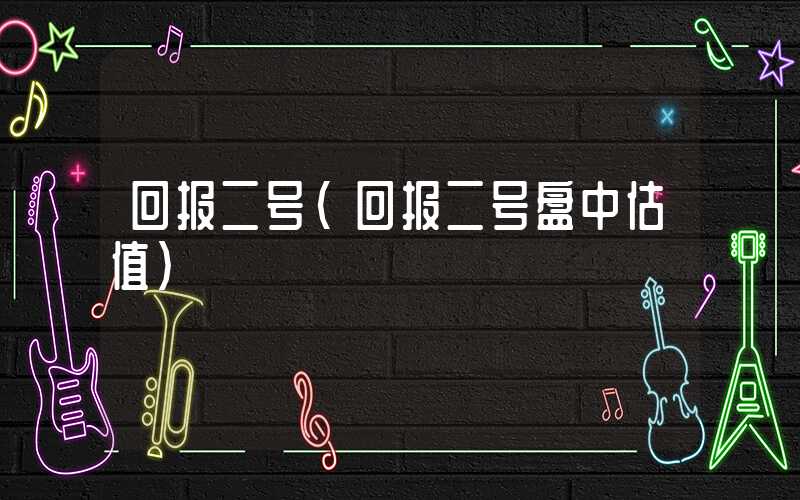 回报二号（回报二号盘中估值）