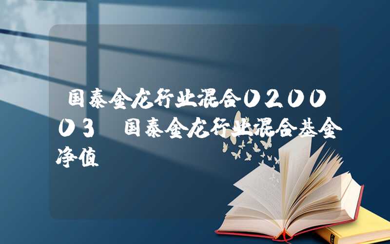 国泰金龙行业混合020003（国泰金龙行业混合基金净值）