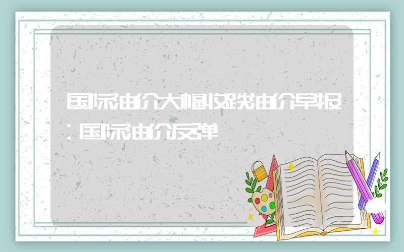 国际油价大幅收跌油价早报：国际油价反弹