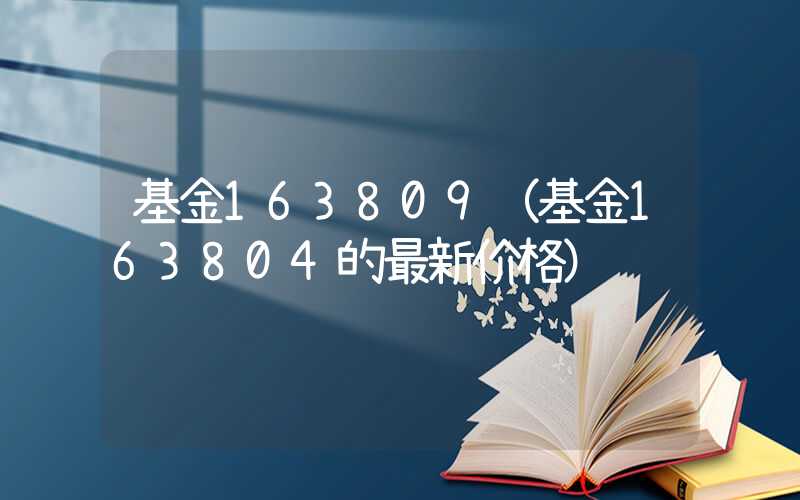 基金163809（基金163804的最新价格）