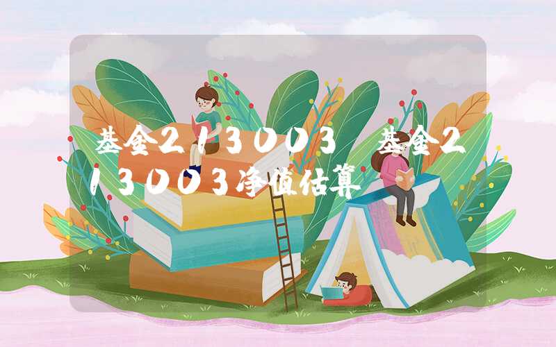 基金213003（基金213003净值估算）