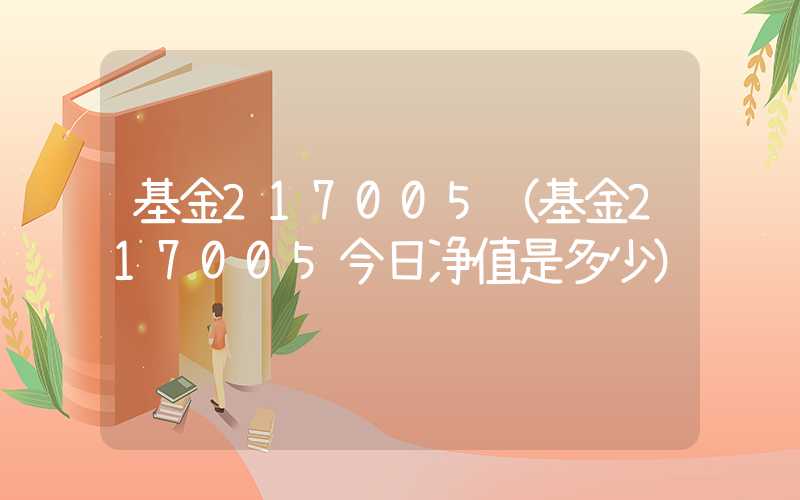 基金217005（基金217005今日净值是多少）