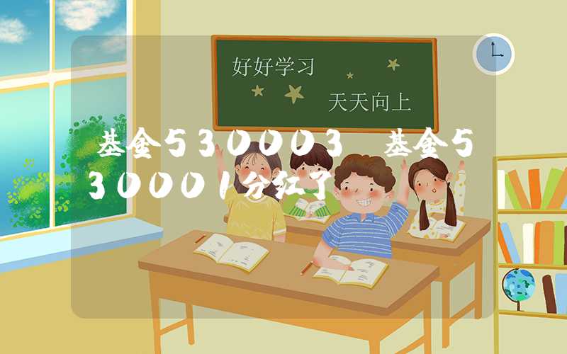 基金530003（基金530001分红了）