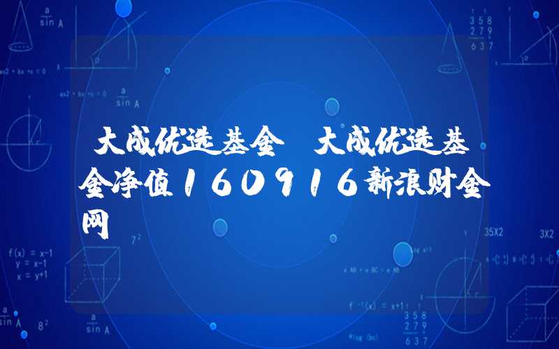 大成优选基金（大成优选基金净值160916新浪财金网）