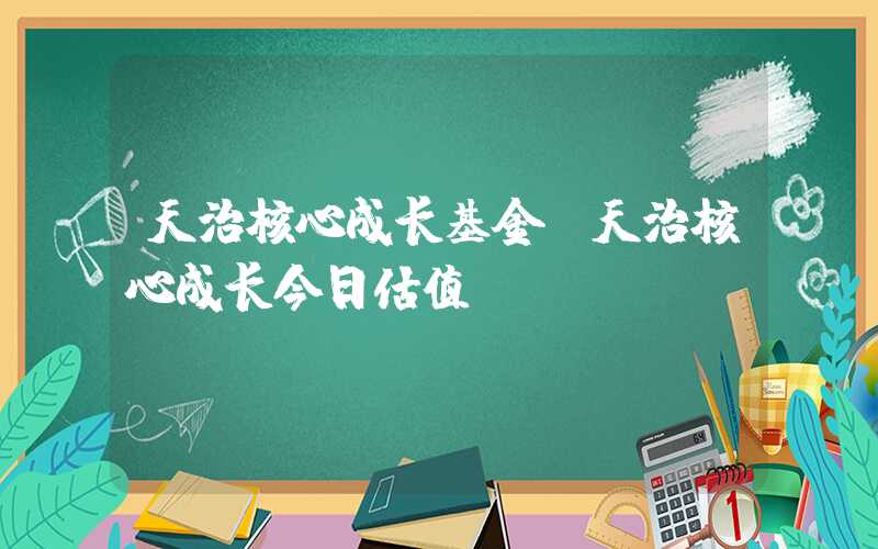 天治核心成长基金（天治核心成长今日估值）