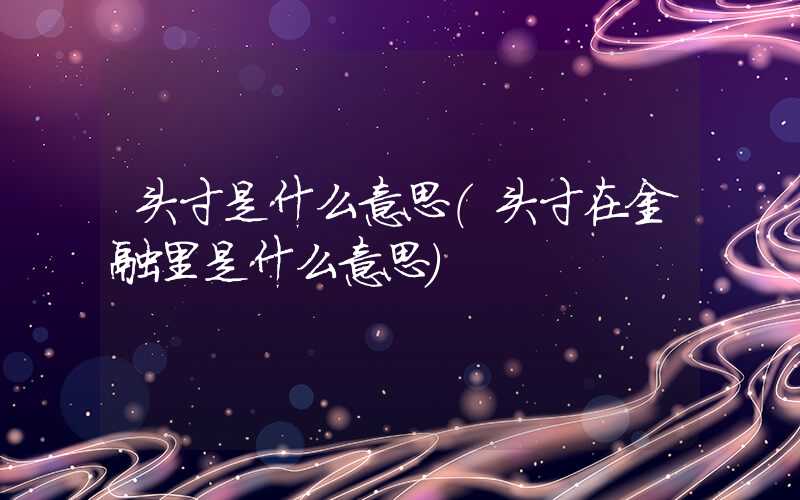 头寸是什么意思（头寸在金融里是什么意思）