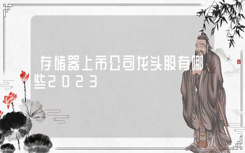 存储器上市公司龙头股有哪些2023