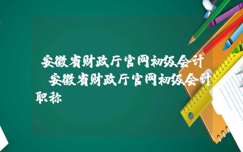 安徽省财政厅官网初级会计（安徽省财政厅官网初级会计职称）