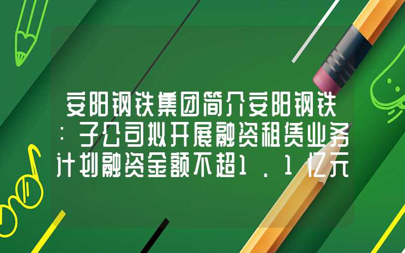 安阳钢铁集团简介安阳钢铁：子公司拟开展融资租赁业务计划融资金额不超1.1亿元