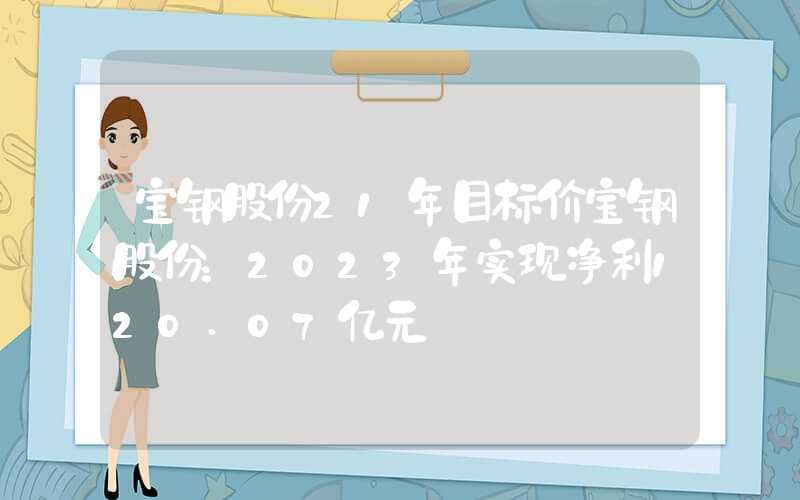 宝钢股份21年目标价宝钢股份：2023年实现净利120.07亿元