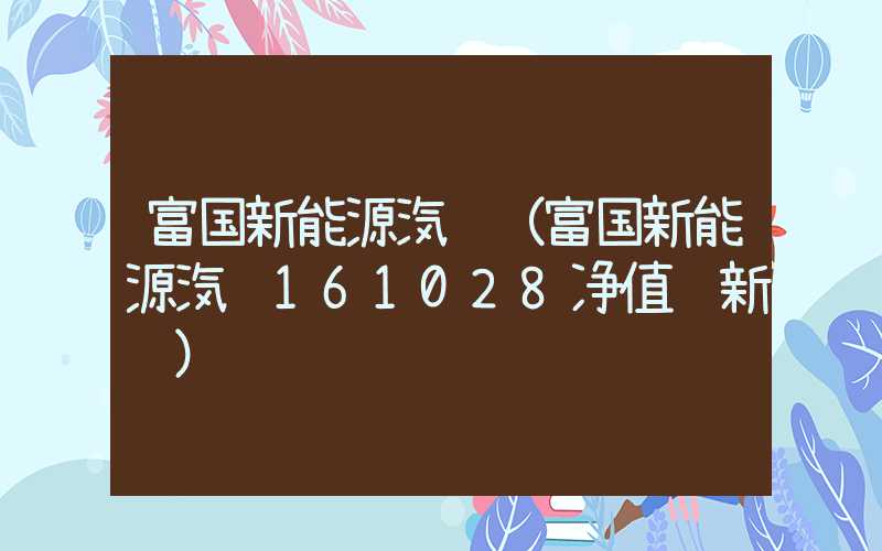 富国新能源汽车（富国新能源汽车161028净值 新闻）