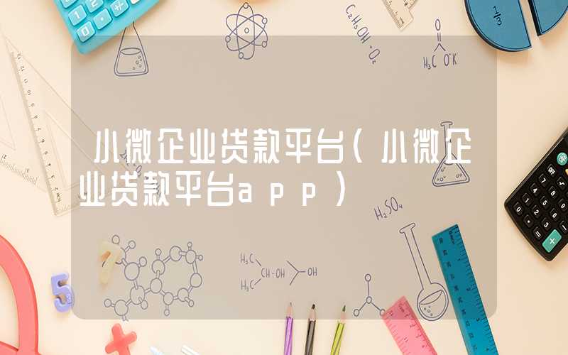 小微企业贷款平台（小微企业贷款平台app）