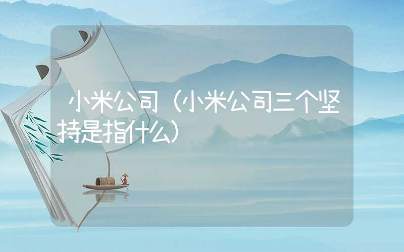 小米公司（小米公司三个坚持是指什么）